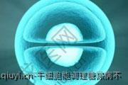 干细胞能调理糖尿病不