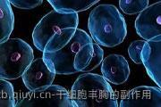 干细胞丰胸的副作用