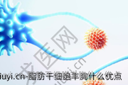 脂肪干细胞丰胸什么优点