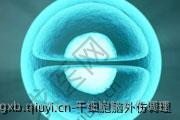 干细胞脑外伤调理