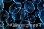 问干细胞移植能否调理脑梗