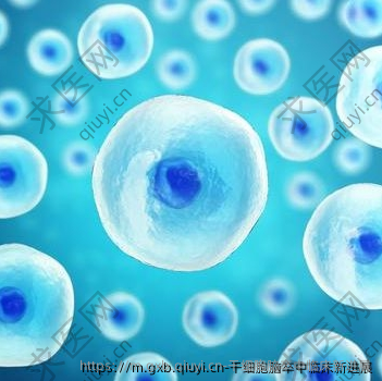 干细胞脑卒中临床新进展