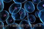 干细胞脑梗广州医科大学
