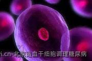 北京造血干细胞调理糖尿病