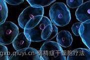 弱精症干细胞疗法
